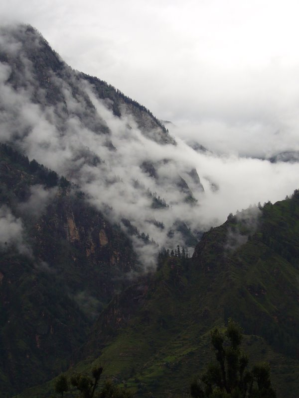 Travel - India - Himachal Pradesh - Parvati Valley - Jari